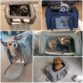 Foldable Pet Carrier Bag — Cabin Approved for Cats & Small Dogs