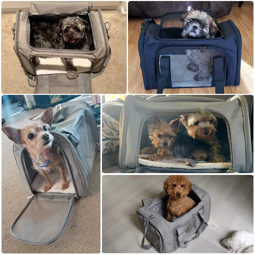 Foldable Pet Carrier Bag — Cabin Approved for Cats & Small Dogs