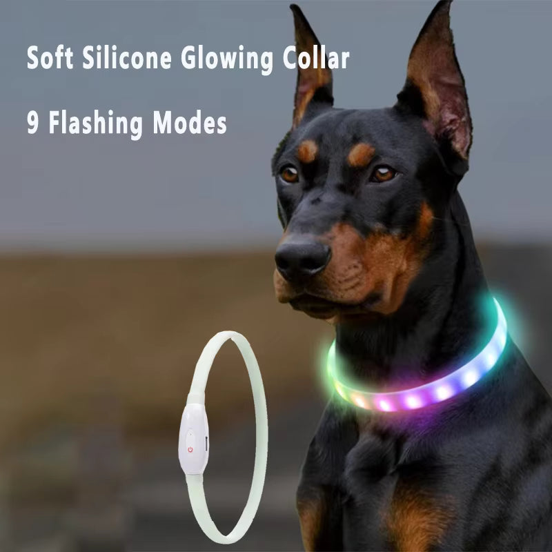 LED Safety Dog Collar — Visible Up to 500m in the Dark