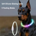 LED Safety Dog Collar — Visible Up to 500m in the Dark
