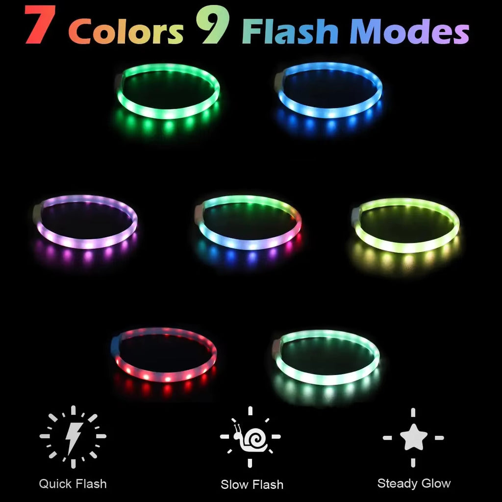 LED Safety Dog Collar — Visible Up to 500m in the Dark